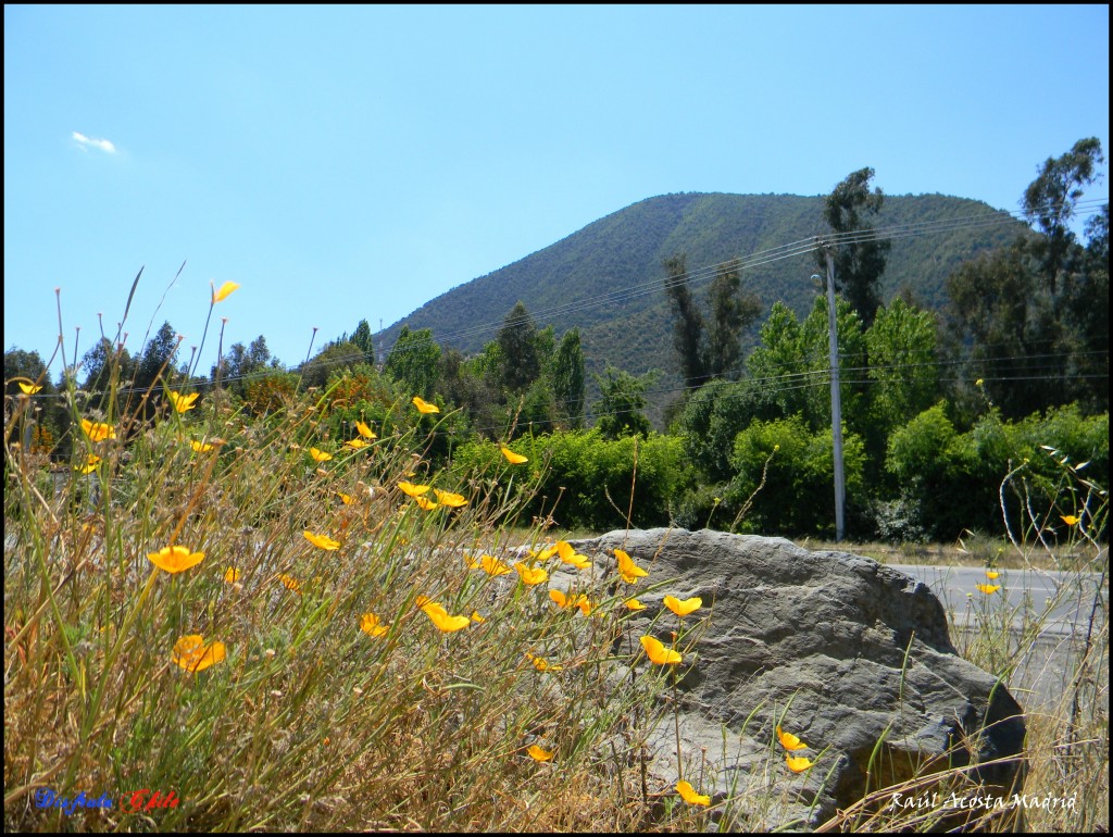 Foto de Lo Miranda (Libertador General Bernardo OʼHiggins), Chile