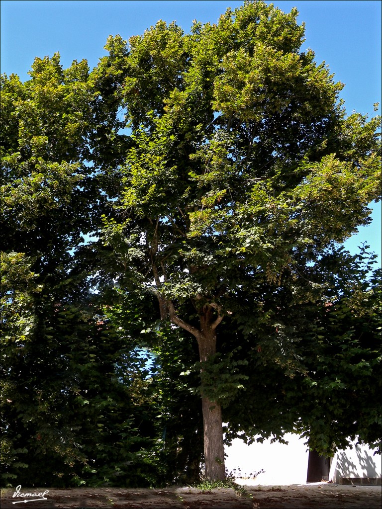 Foto: 110708-062 CESTONA - Zestoa (Gipuzkoa), España