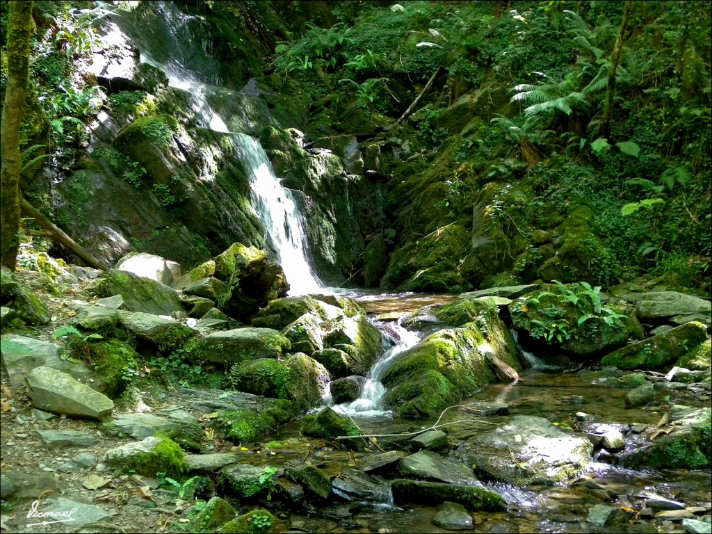 Foto: 110708-070 CESTONA - Zestoa (Gipuzkoa), España