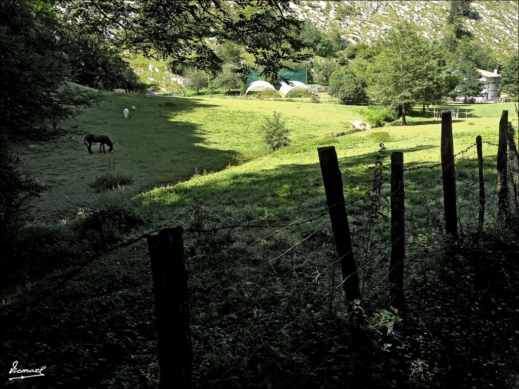 Foto: 110708-077 CESTONA - Zestoa (Gipuzkoa), España