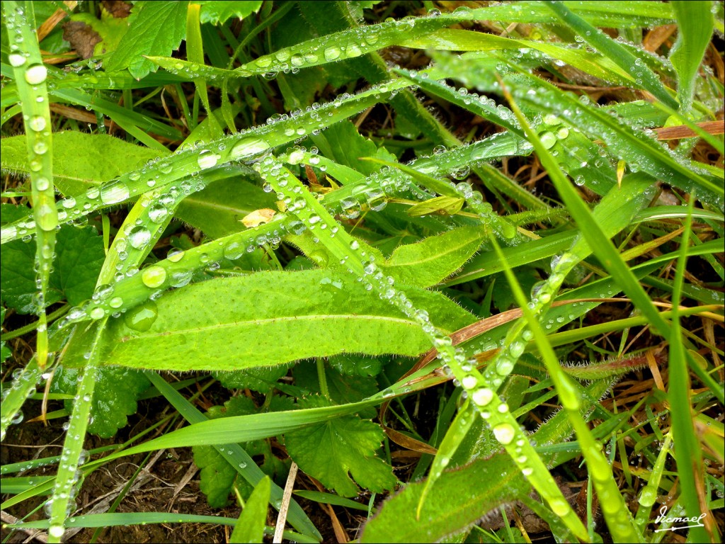 Foto: 110709-053 CESTONA - Zestoa (Gipuzkoa), España