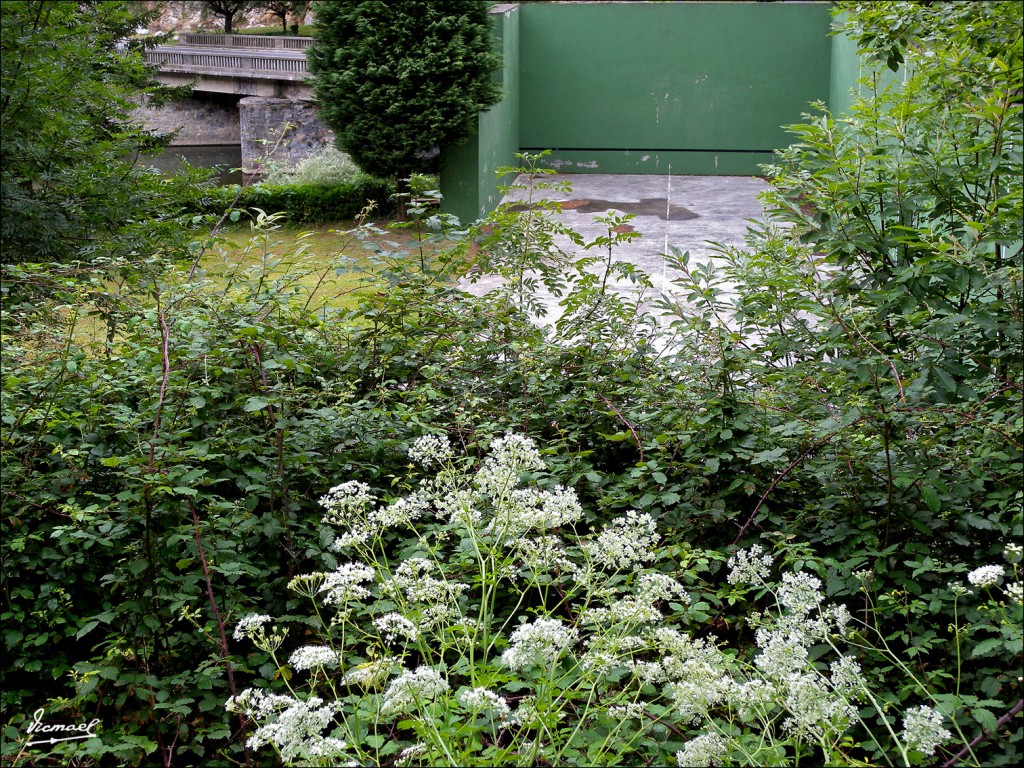 Foto: 110709-055 CESTONA - Zestoa (Gipuzkoa), España