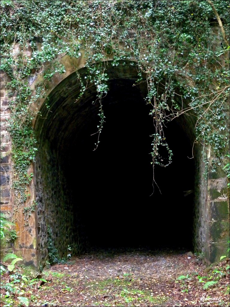 Foto: 110709-057 CESTONA - Zestoa (Gipuzkoa), España