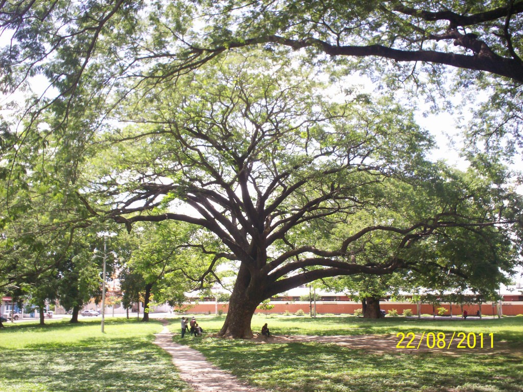 Foto: Parque el pulmon - Liberia (Guanacaste), Costa Rica