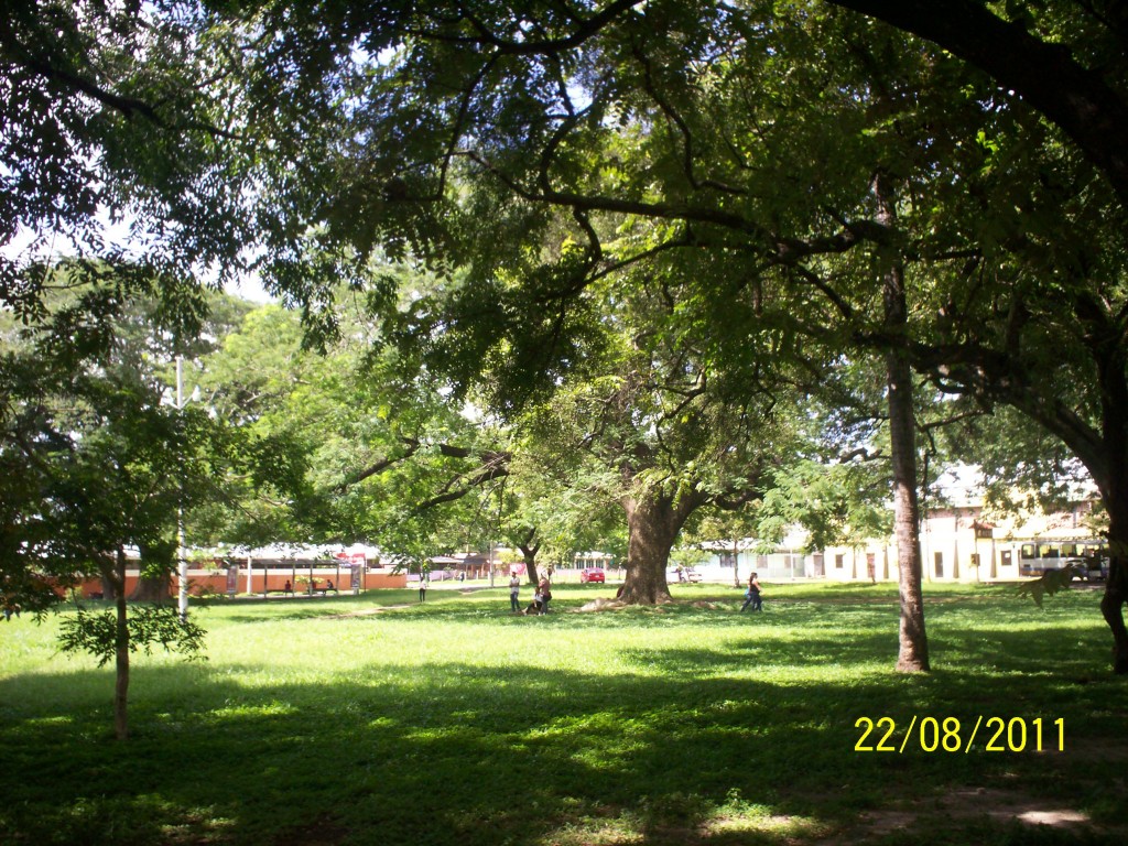 Foto: Pulmon - Liberia (Guanacaste), Costa Rica