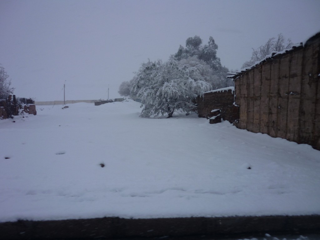 Foto: Calle - Inca De Oro (Atacama), Chile