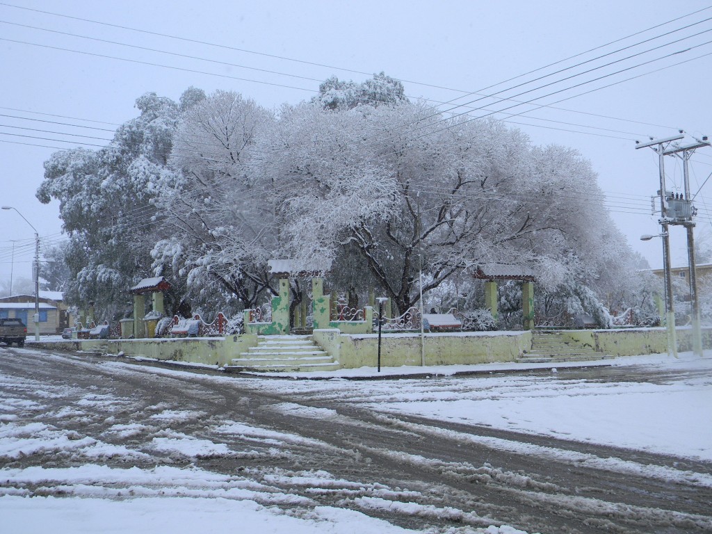 Foto: Plaza - Inca De Oro (Atacama), Chile