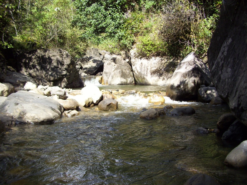 Foto: Agua Cristalina - Aquitania . San Juan (Boyacá), Colombia