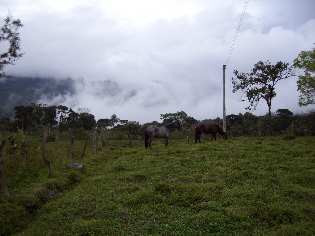 Foto: Neblina - Aquitania . San Juan (Boyacá), Colombia