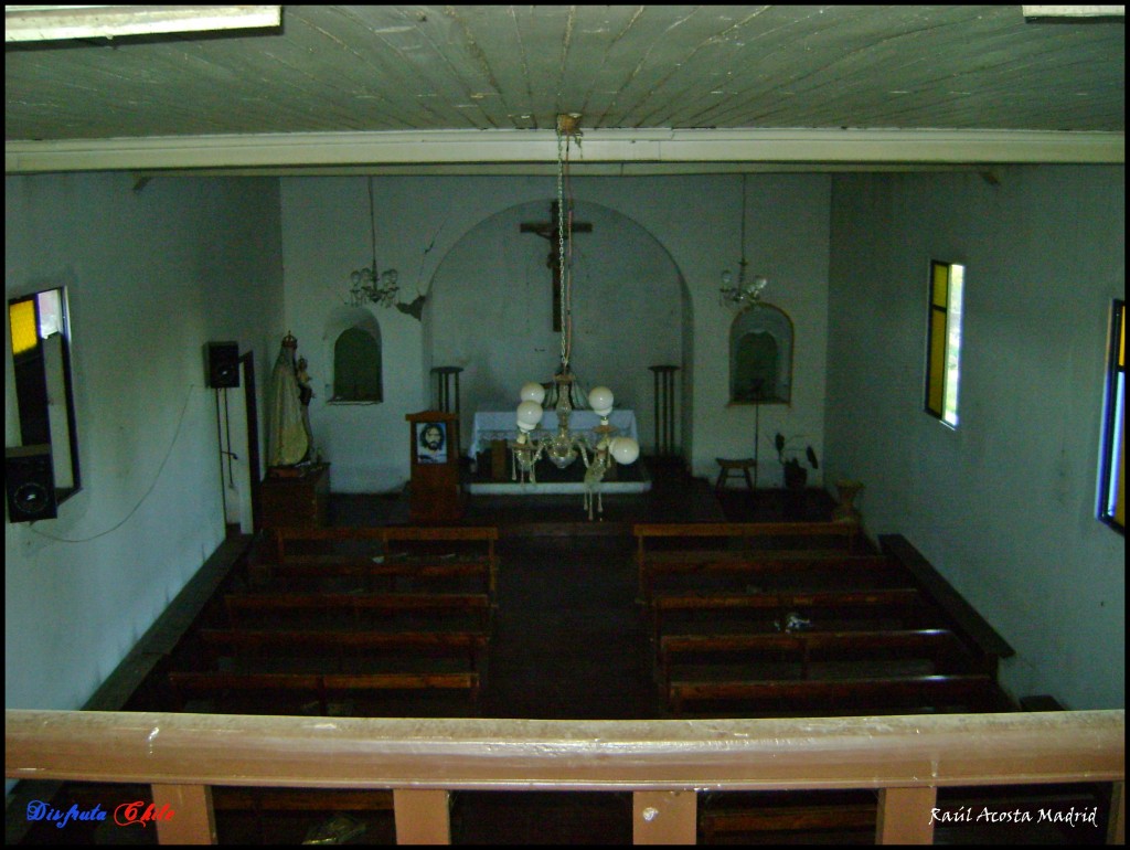 Foto: El Almendro - Coltauco (Libertador General Bernardo OʼHiggins), Chile