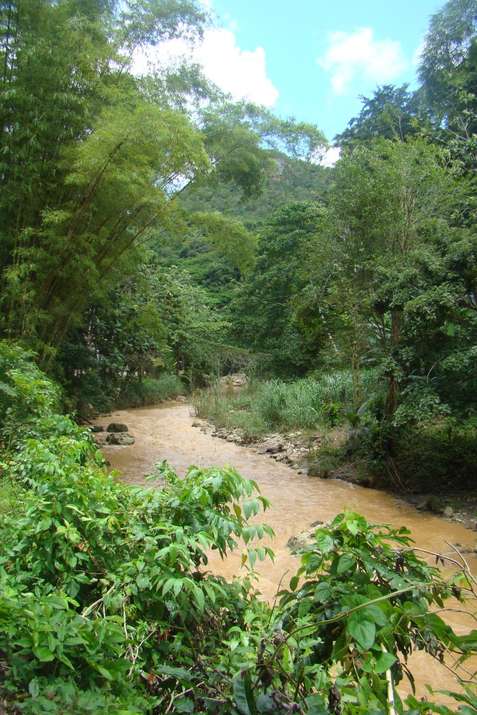 Foto de Utuado, Puerto Rico