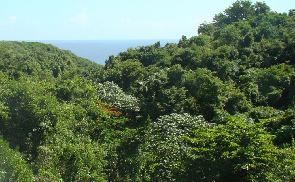Foto de Utuado, Puerto Rico