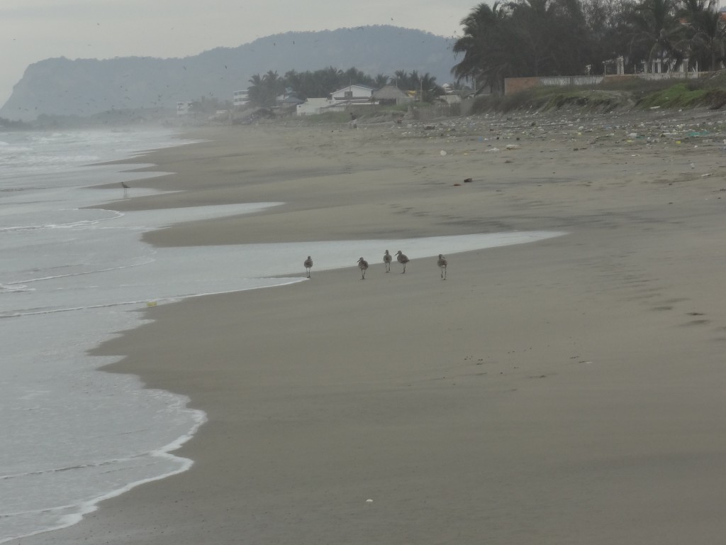 Foto: Playa - Crucita (Manabí), Ecuador