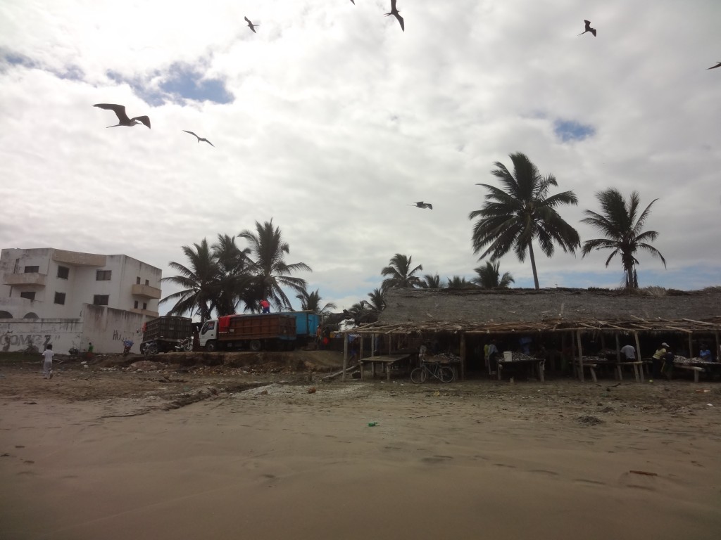Foto: Carros esperando - Crucita (Manabí), Ecuador