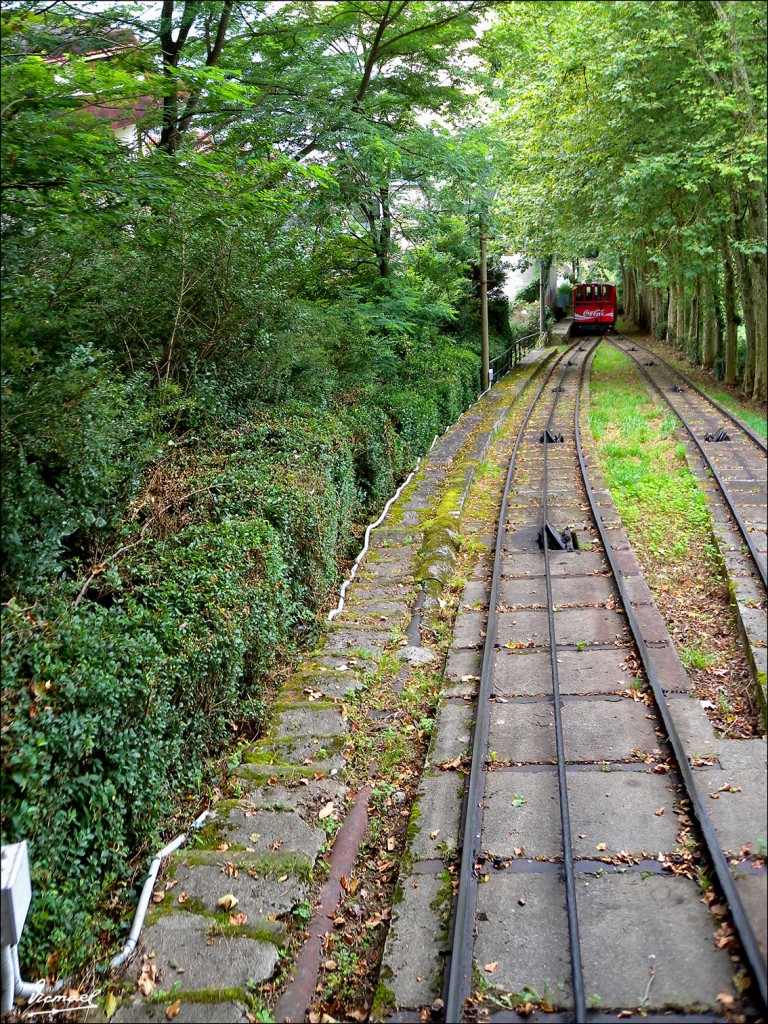 Foto: 110706-080 SAN SEBASTIAN - San Sebastian (Gipuzkoa), España