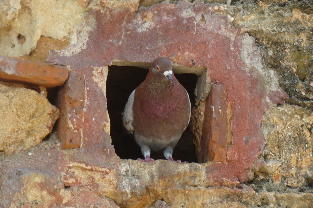 Foto de San Juan, Puerto Rico