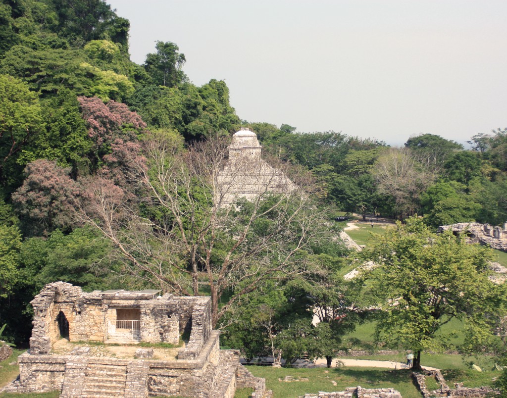 Foto: vista - Palenque (Chiapas), México