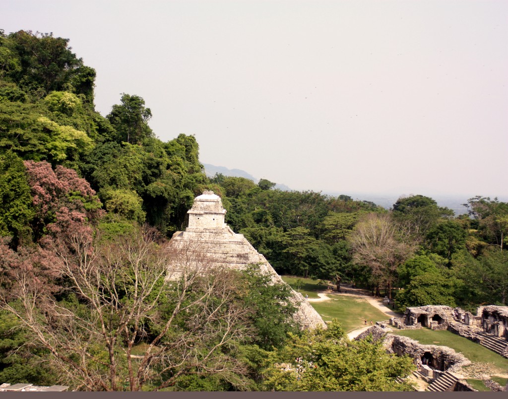 Foto: vista - Palenque (Chiapas), México