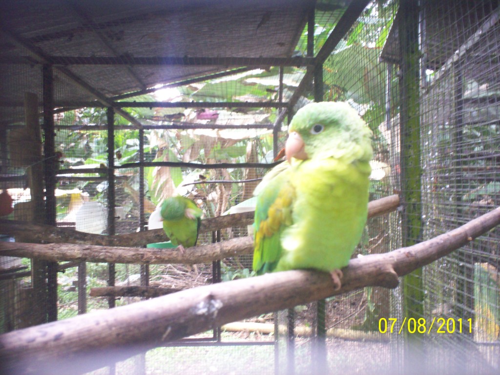 Foto de San Carlos (La Marina) (Alajuela), Costa Rica