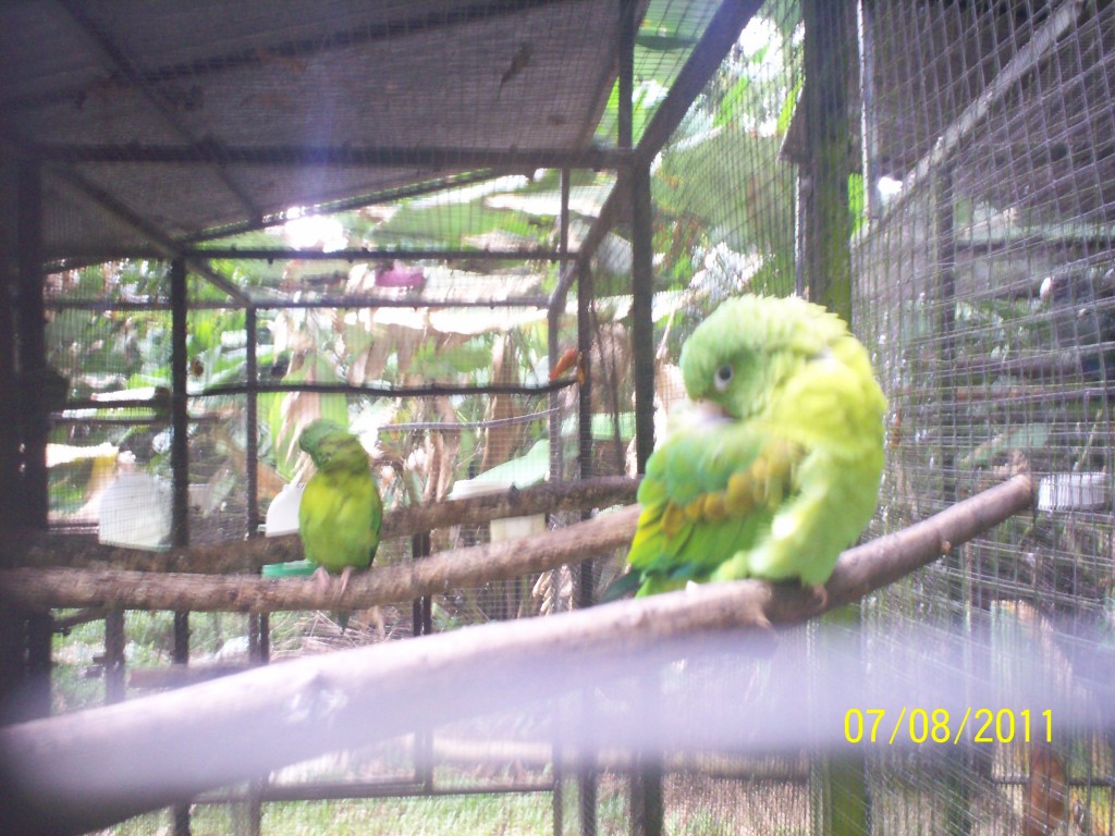 Foto de San Carlos (La Marina) (Alajuela), Costa Rica