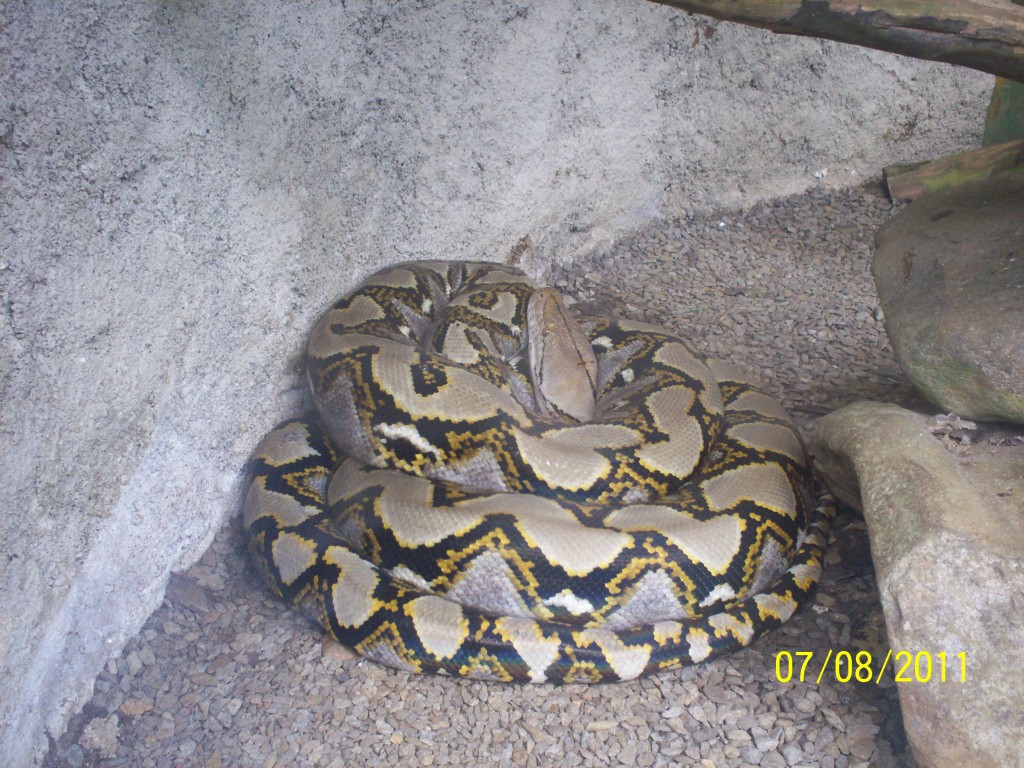 Foto de San Carlos (La Marina) (Alajuela), Costa Rica