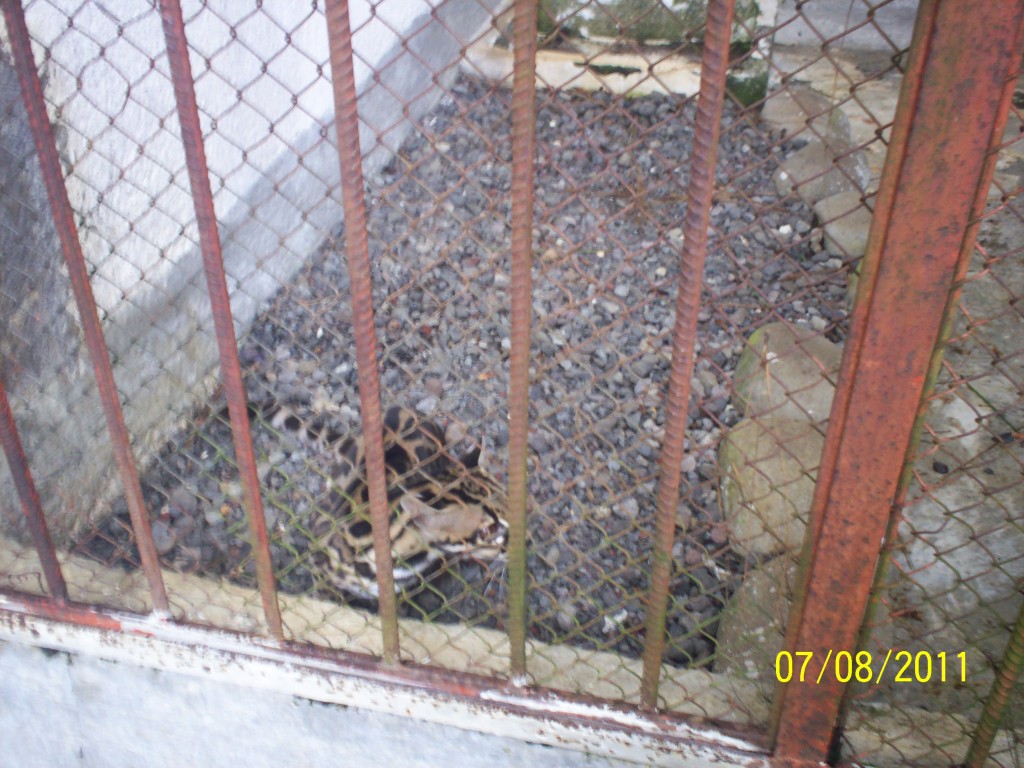 Foto de San Carlos (La Marina) (Alajuela), Costa Rica