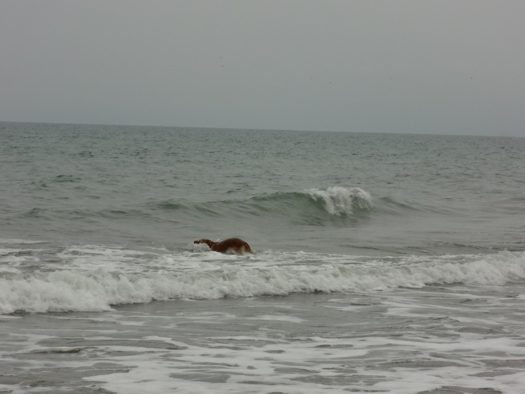 Foto: Playa - Crucita (Manabí), Ecuador