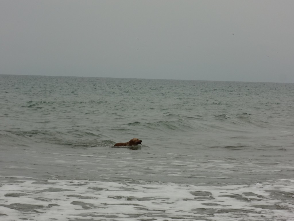 Foto: Playa - Crucita (Manabí), Ecuador