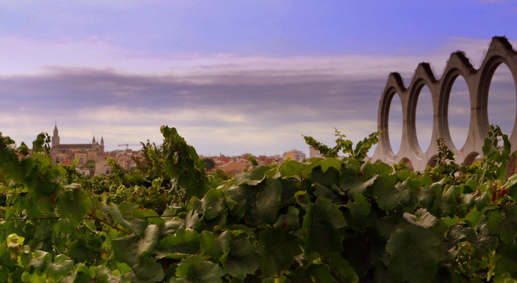 Foto: Arquitectura y viñas. - Vilafranca del Penedes (Barcelona), España