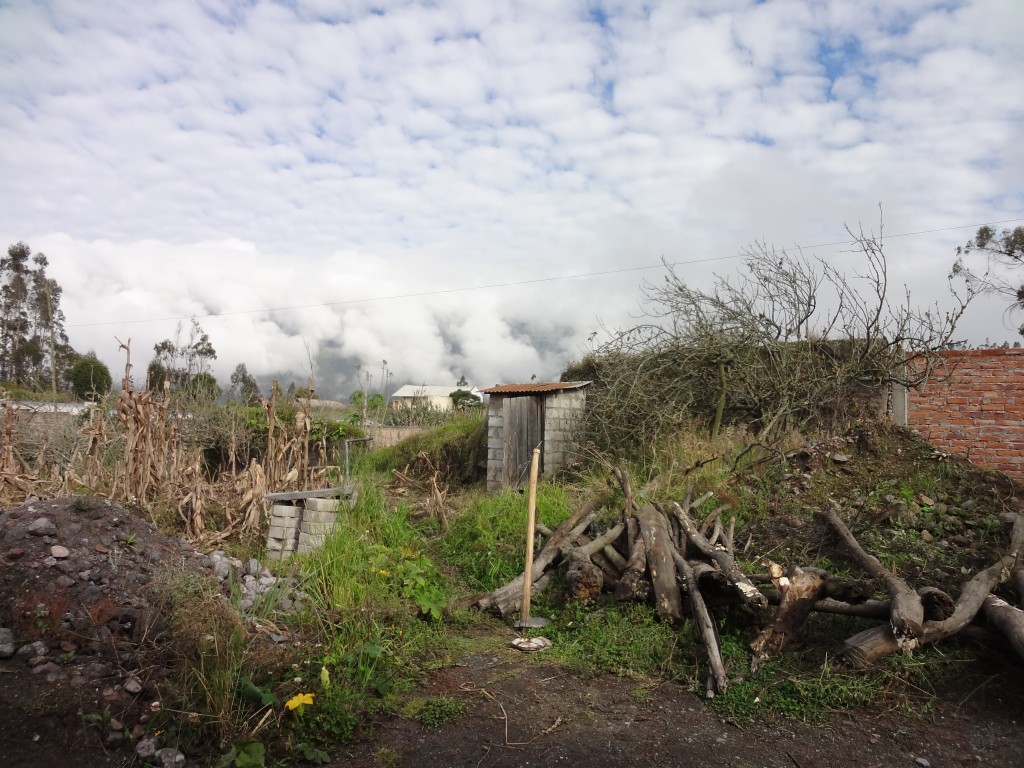 Foto: Manzanas - Bayushig (Chimborazo), Ecuador