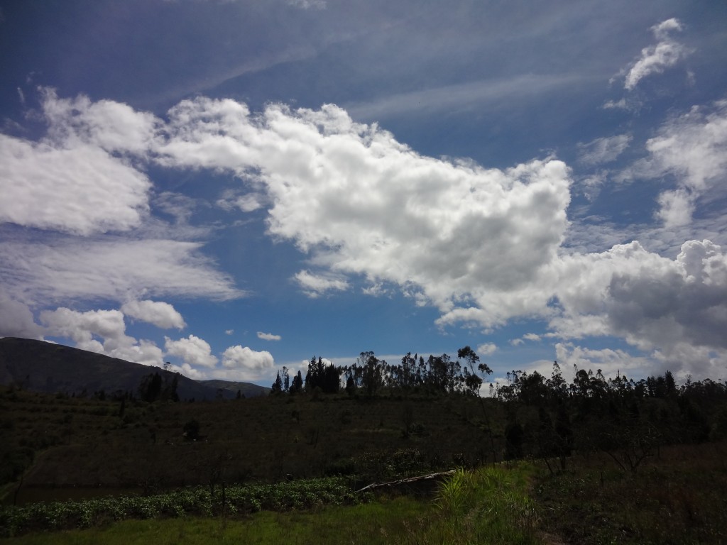 Foto: Paisaje - Bayushig (Chimborazo), Ecuador