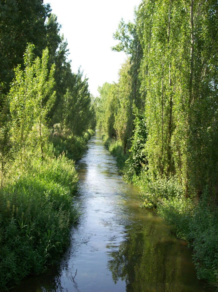 Foto: EL REGUERO - Zuares Del Pàramo (León), España