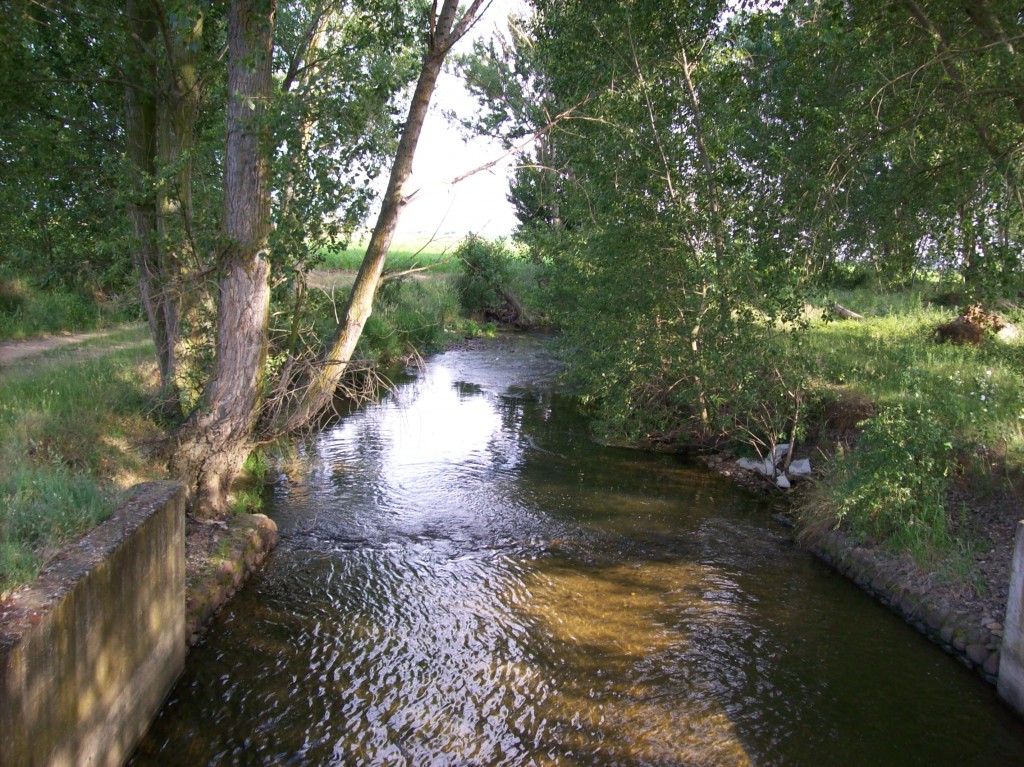 Foto: EMBALSE DEL REGUERO EN PLOBLADURA DE P. GARCIA - Zuares Del Pàramo (León), España