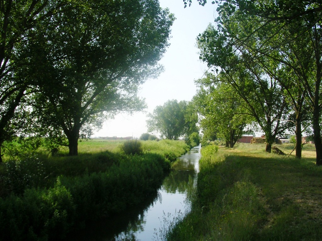 Foto: EL REGUERO - Zuares Del Pàramo (León), España