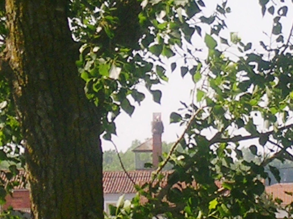 Foto: AL FONDO LA TORRE - Zuares Del Pàramo (León), España