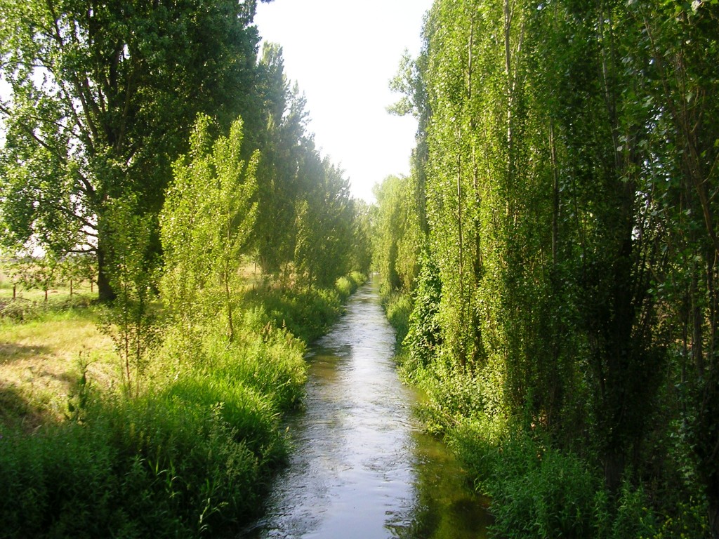 Foto: EL REGUERO - Zuares Del Pàramo (León), España