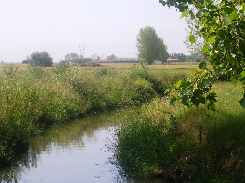 Foto: EL REGUERO A ZUARES - Zuares Del Pàramo (León), España