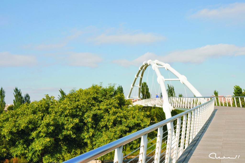 Foto: Bioparc - Valencia (València), España