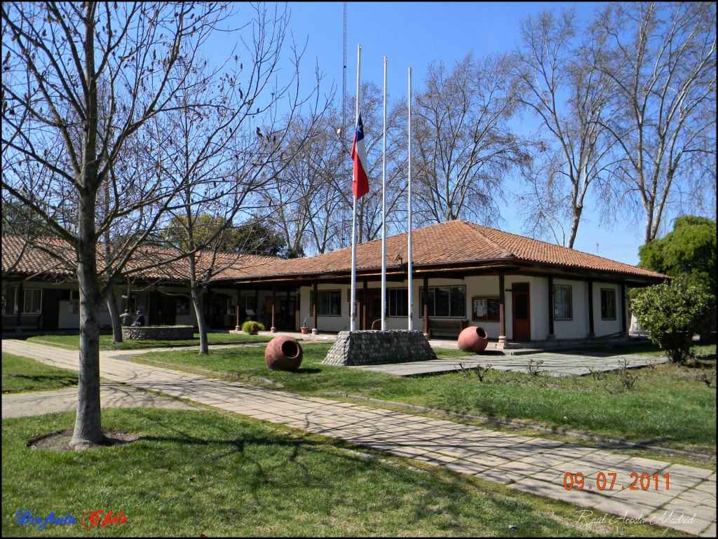 Foto de Coltauco (Libertador General Bernardo OʼHiggins), Chile