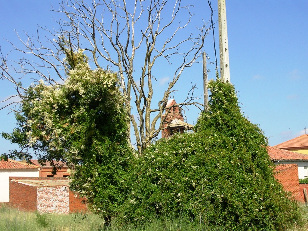 Foto: La Huerta Detras De Las Escuelas - Zuares Del Pàramo (León), España