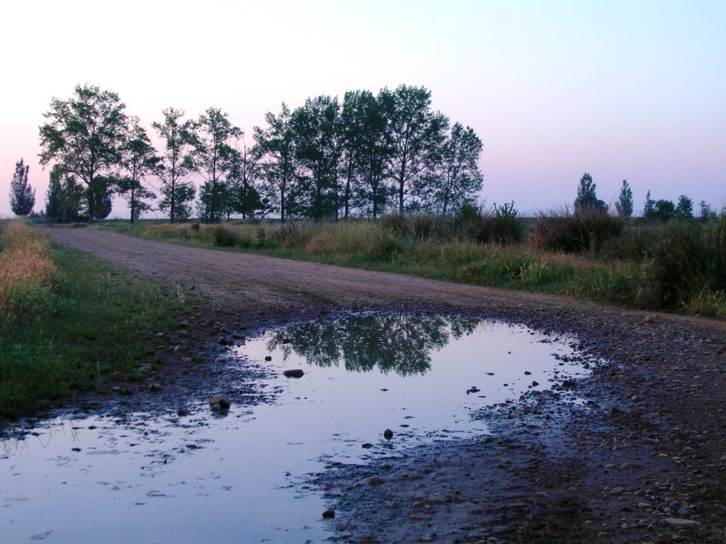 Foto: Camino A Villamañan - Zuares Del Pàramo (León), España