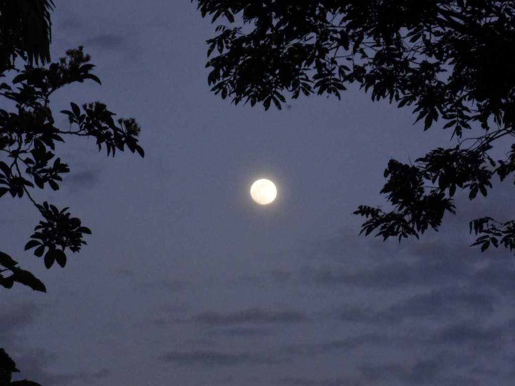 Foto: Luna - Shell (Pastaza), Ecuador