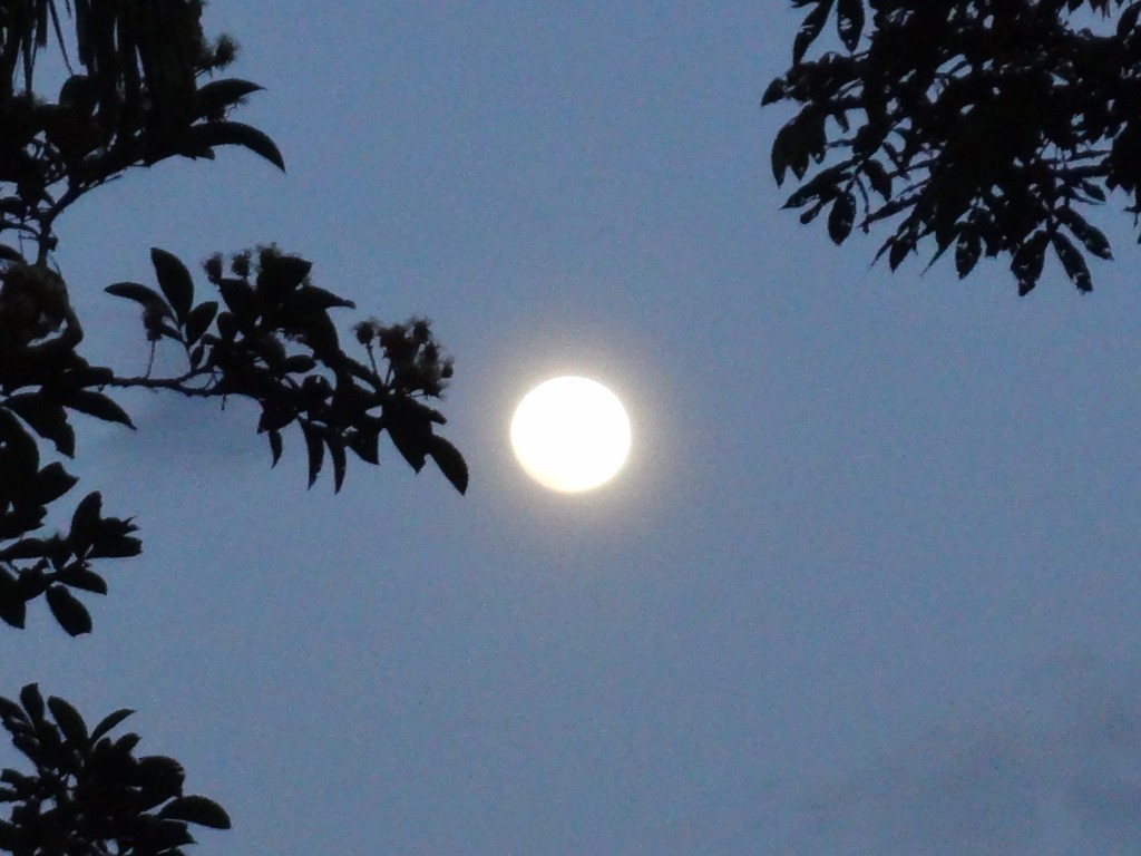 Foto: Luna - Shell (Pastaza), Ecuador