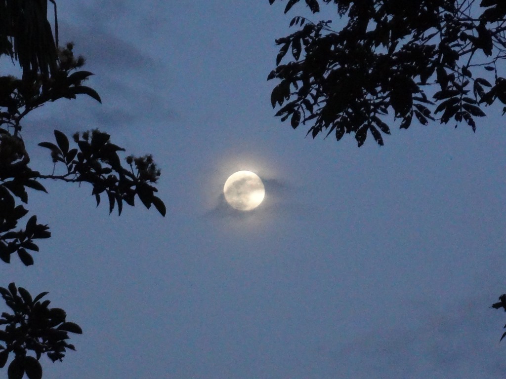 Foto: Luna - Shell (Pastaza), Ecuador