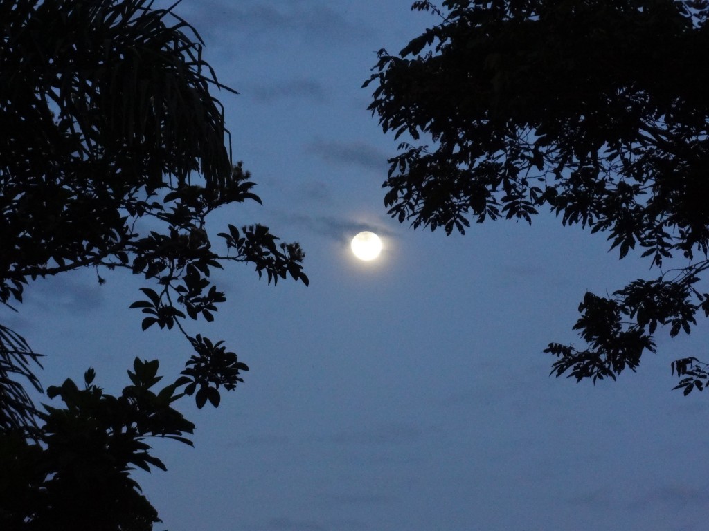 Foto: Luna - Shell (Pastaza), Ecuador