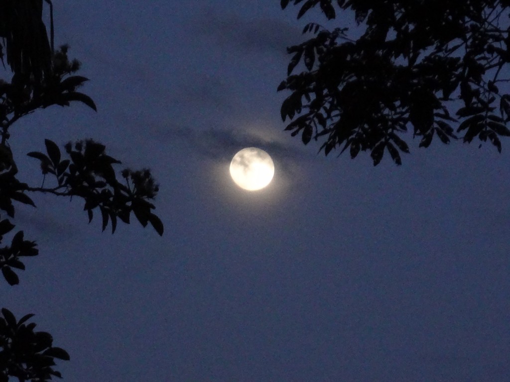 Foto: Luna - Shell (Pastaza), Ecuador