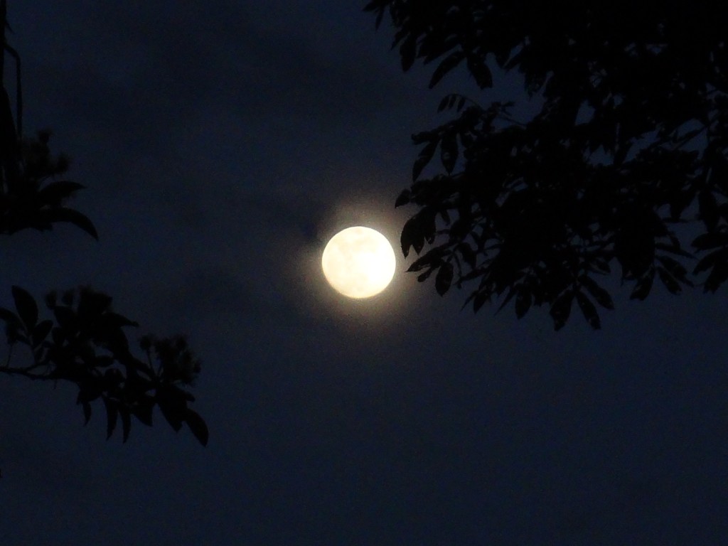 Foto: Luna - Shell (Pastaza), Ecuador