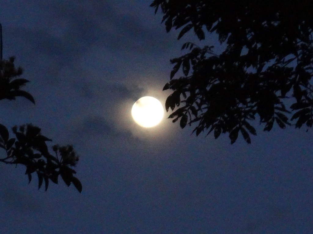 Foto: Luna - Shell (Pastaza), Ecuador