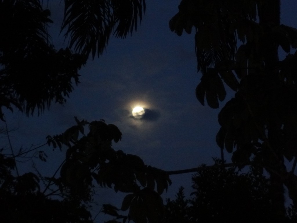 Foto: Luna - Shell (Pastaza), Ecuador