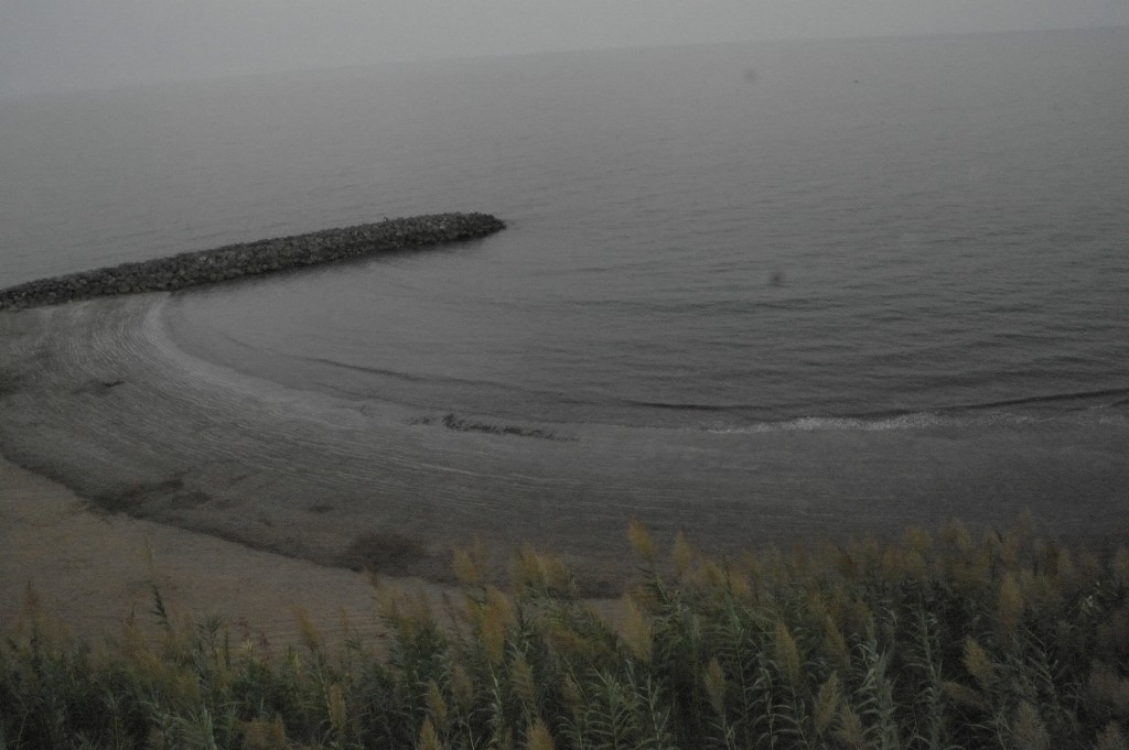 Foto: Playa del Inglés - San Bartolome de Tirajana (Las Palmas), España